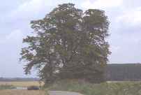 Tumulus des 6 Frères