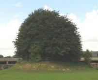 Tumulus du Roissia